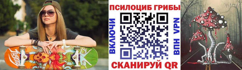 купить  цена  Вичуга  Галлюциногенные грибы Cubensis 