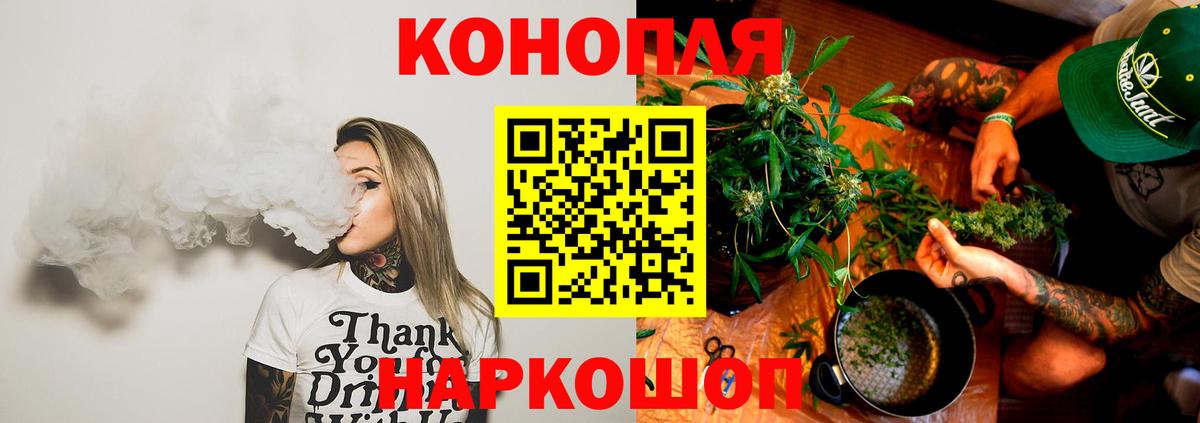 Альфа ПВП Вичуга